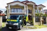 auckland carpet cleaning