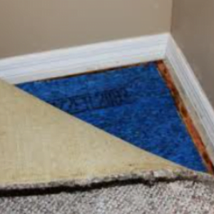 mildew removal