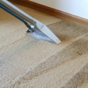 Wool carpet cleaning Auckland